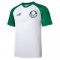 Men's Palmeiras Green Training Jersey 23/24