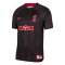 Men's Liverpool X Lebron James Anthracite/Gym Red Jersey 23/24 #Special Edition