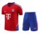 Men's Bayern Munich Red Training Jersey + Short Set 23/24