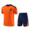 Men's Netherlands Orange Training Jersey + Short Set 2024