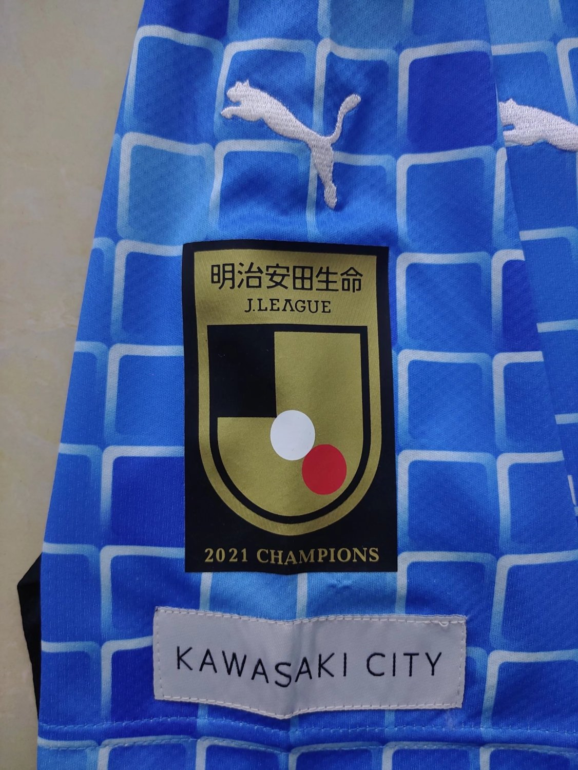 Men's Kawasaki Frontale Home Jersey 22/23