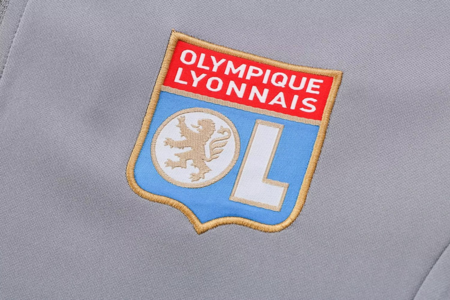 Men's Olympique Lyonnais Gray Training Set 22/23